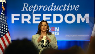 Can Kamala Harris win Florida? Democrats dream, Republicans scoff