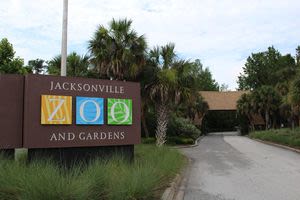 Jacksonville Zoo and Gardens offers half-price admissions on weekdays, celebrating the end of summer