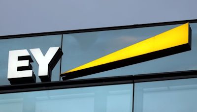 India probing EY's 'work environment' after death of young employee