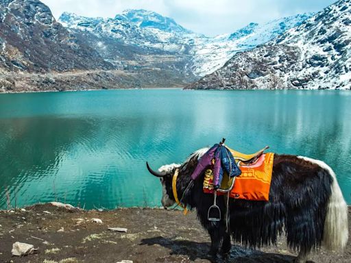 Sustainability: Travellers To Sikkim Will Now Have To Carry Garbage Bags