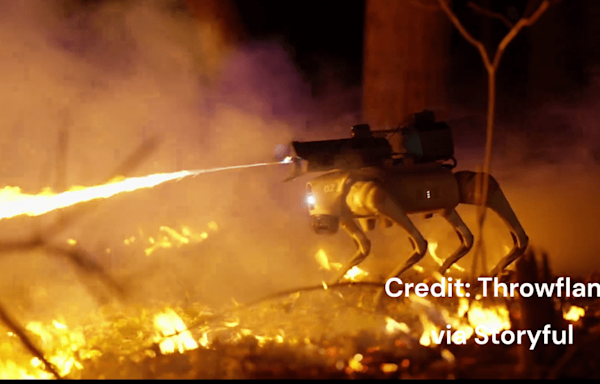 Robot dogs with flamethrowers for sale by Cleveland-based company