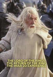 The Lord of the Rings: The Return of the King