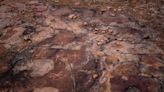 Strange prehistoric drawings found near dinosaur footprints in Brazil