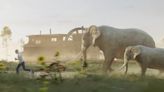 El vídeo que enfrenta a los animales terrestres más rápidos del planeta: la velocidad del guepardo es apabullante