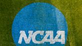 NCAA committee recommends removing cannabis from banned substances lists in all divisions