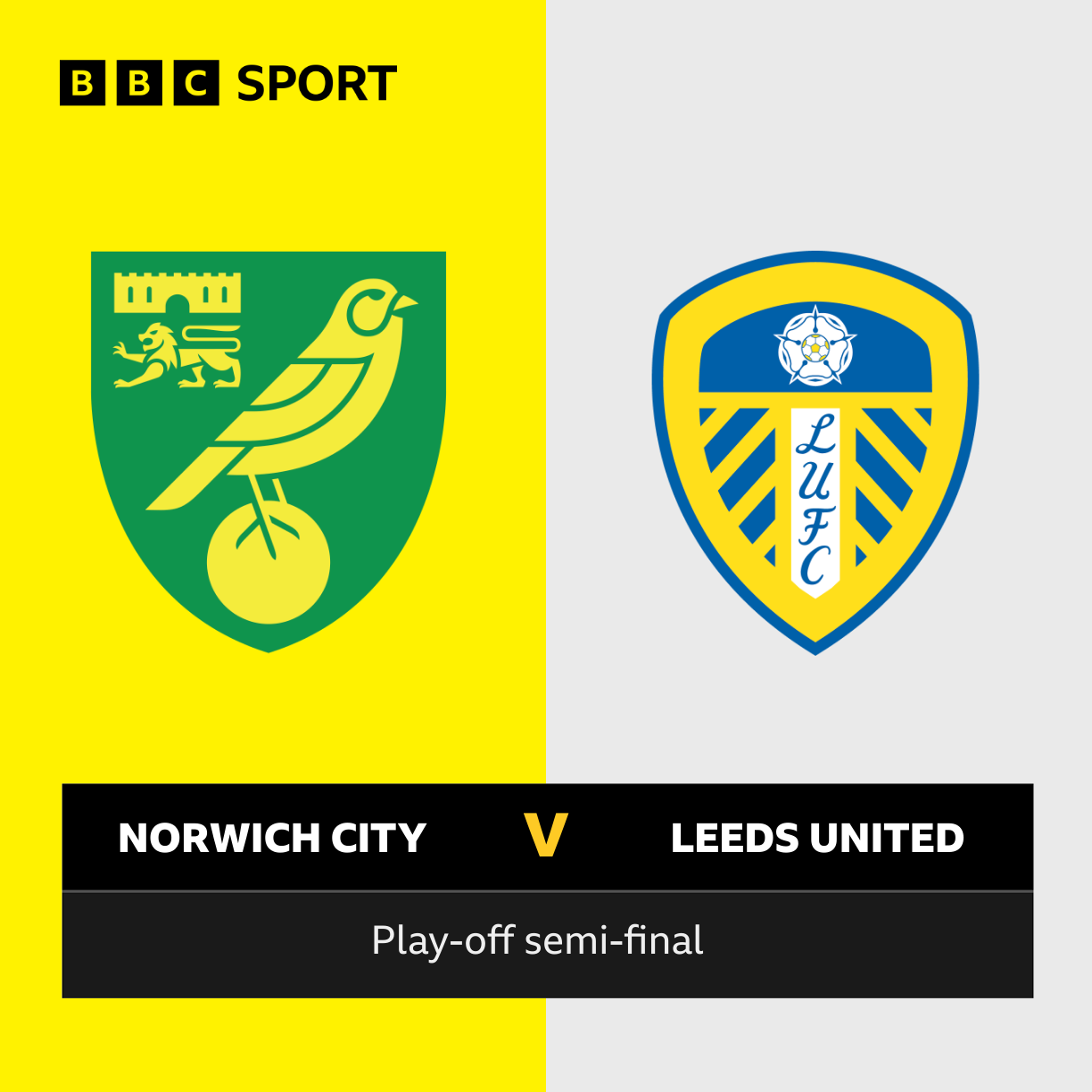 Norwich City will play Leeds United in the play-offs