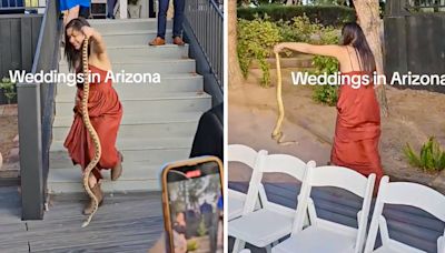 Serpiente se cuela en una boda en Florence, Arizona, y esto hizo la hermana de la novia