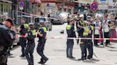 Hamburg police shoot man with axe and ‘Molotov cocktail’ ahead of Euro 2024 game