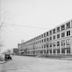 Packard Automotive Plant