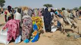 WFP says $13 million-14 million worth of food looted in Sudan