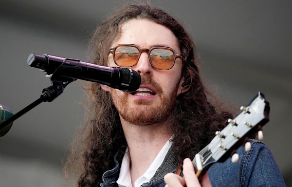 Hozier Concert Canceled 'for Health and Safety of Concertgoers'