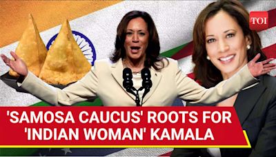 Kamala Harris 'Gets Support Of 4.4 Million Indian-Americans' | Big Cheer From 'Samosa Caucus'