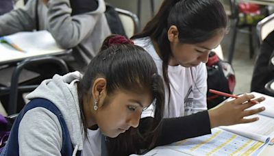 Solo el 22% de los chicos de 15 años cursa la escuela en tiempo y forma a nivel nacional