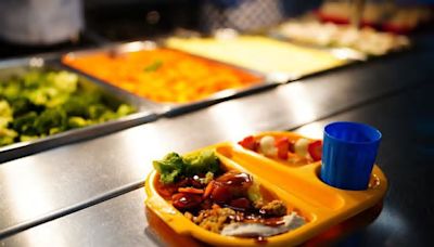 School meals branded 'absolutely shocking' in County Durham as kids 'come home hungry'