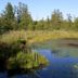 Volo Bog State Natural Area