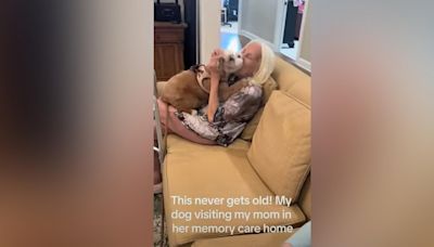 Watch how excited this dog gets to greet its owner's mom in a memory care home