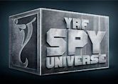 YRF Spy Universe
