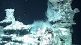 Discovery of 'cosmic tree of life' hydrothermal vent ecosystems in the Arctic region