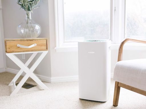 Our Ultimate Guide to the 9 Best Air Purifiers for Every Space
