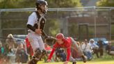 Hornell rallies by Waterloo with walk-off win, punches ticket to Section V finals