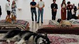 Museo Tamayo: responde a la cancelación del performance con perros (VIDEO)