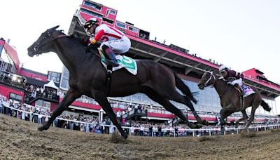 2024 Preakness Stakes horses, futures, odds, date: Expert who hit last year's superfecta unveils picks