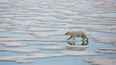 June 2006 v. June 2023 Arctic sea ice comparison doesn't disprove global warming | Fact check