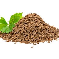 Herb seeds are used to grow aromatic plants for culinary or medicinal purposes. Common herbs include basil, mint, rosemary, parsley, and cilantro.