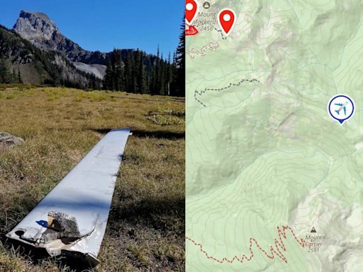 Hiker discovers aircraft debris in B.C.'s backcountry