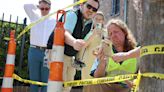 Water main repair on East Bay Street leads to discovery of historic underground wall