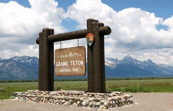 Grizzly bear attack at Grand Teton National Park leaves man seriously injured