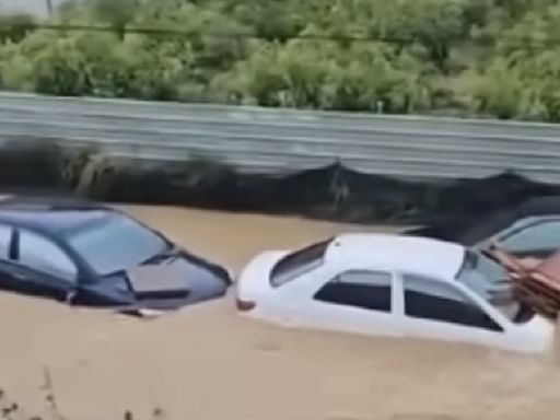 汽車因颱風砸毀、泡水 3險種才有保障理賠！