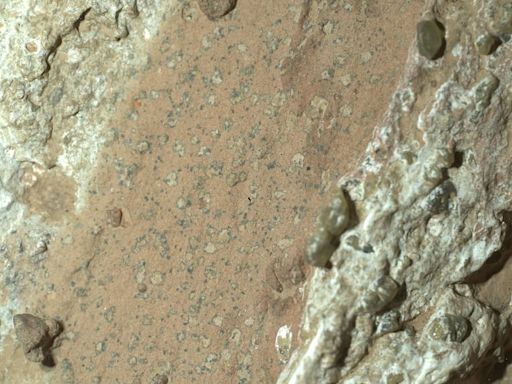 NASA discovers first 'possible' signs of ancient life on Mars