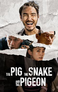The Pig, the Snake and the Pigeon