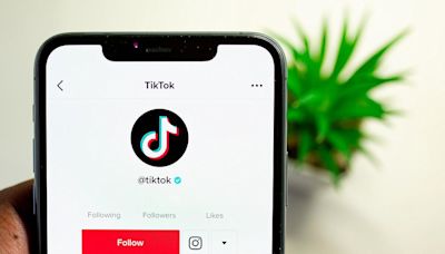 TikTok：對外聯繫對象不分黨派，尋求解決潛在疑慮