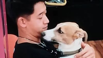 Arturo, el perro de “Gran Hermano 2023″, tiene un trabajo soñado y nadie puede creerlo