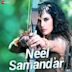 Neel Samandar