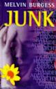 Junk (novel)
