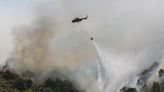 España lucha contra los incendios forestales en una ola de calor extremo