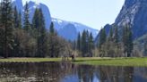 These Yosemite campgrounds may not open this summer. Half Dome cables behind schedule