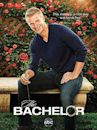 The Bachelor (American TV series) season 17