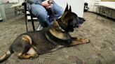 Howling Heroes aims to keep retired K-9s and officers together