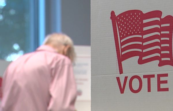 Maryland Primary Elections 2024: What's on the ballot in each county