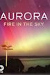 Aurora - Fire in the Sky