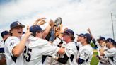 A look at the local baseball and softball teams heading to the PIAA state finals at Penn State