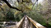 Florida's Ravine Gardens is a natural time capsule with suspension bridges, azaleas