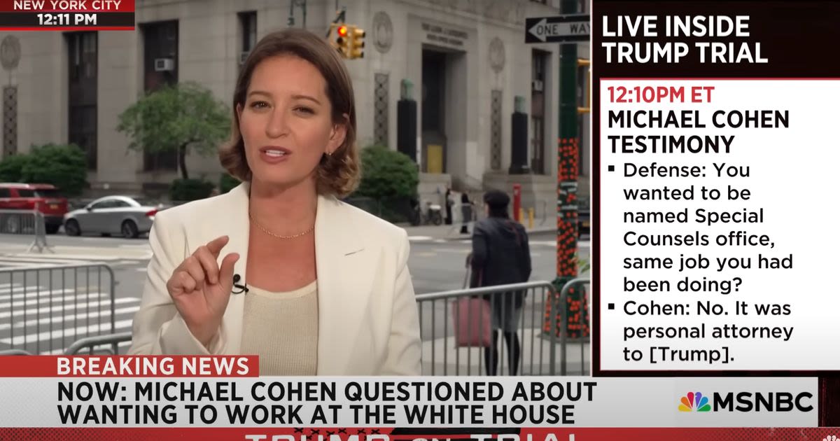 MSNBC Host Says Trump Allies Had 'Mean Girls' Moment With George Conway In Court