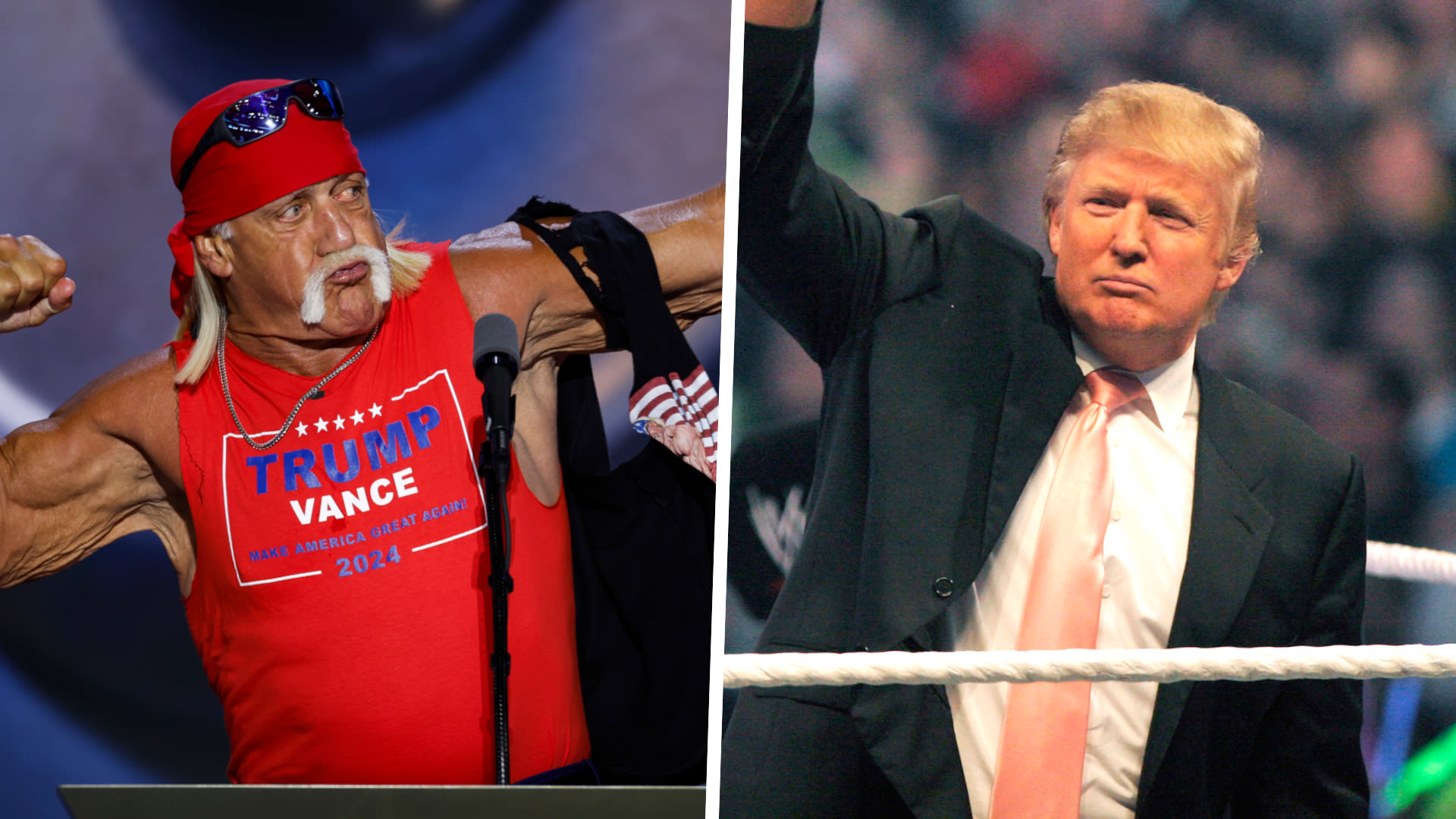 What is the connection between Donald Trump and WWE?