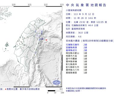 快訊/地牛翻身！11:28東部海域規模4.6地震 最大震度2級「9縣市有感」