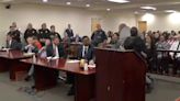 Moment man lunges at Buffalo shooter as victim’s family give emotional testimony